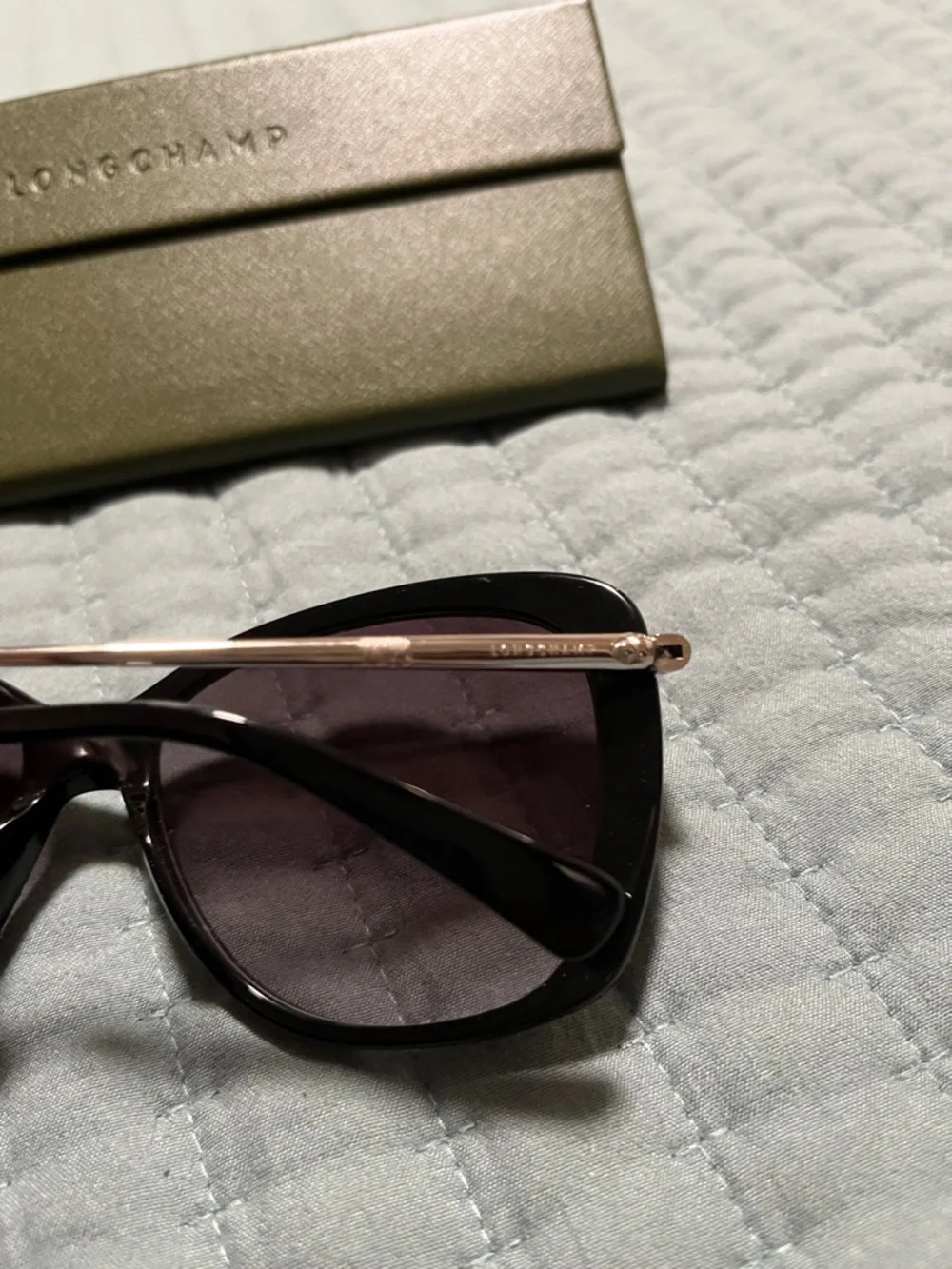 New Longchamp Women's Gradient Oversized Sunglasses